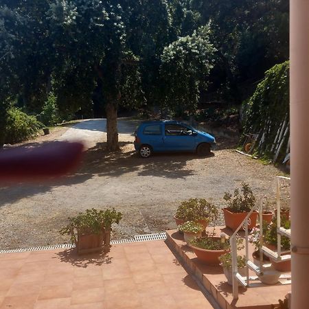 Alba Tra I Pini B&B Cefalù Buitenkant foto